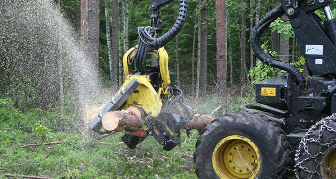 Maa- ja metsätalousministeriö tukee Suomen puukaupan siirtymistä nettiin