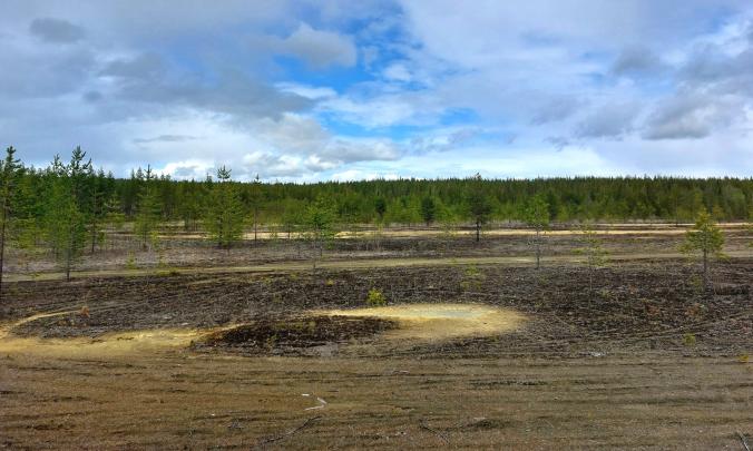 Pilottihankeessa etsitään vanhoilta kaivannaisjätealueilta raaka-aineita