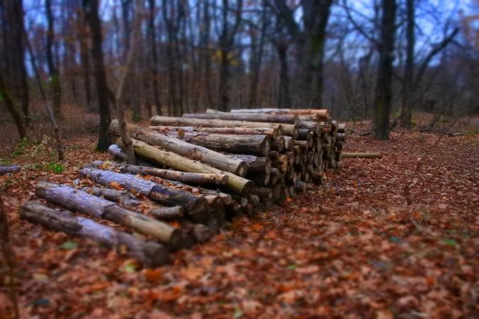 Siemens ja VTT: Ekosysteemi vauhdittamaan metsäteollisuuden uutta liiketoimintaa