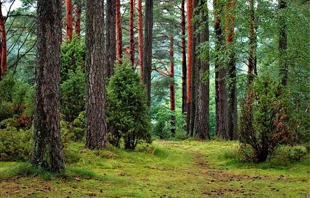 EU:lta lopullinen vahvistus uusiutuvaa energiaa ja energiatehokkuutta koskevien 2030-tavoitteiden tiukennuksiin