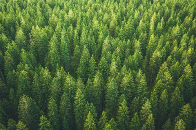 Ravinteista uusia kiertotaloustuotteita – fokus teollisuuskemikaaleissa
