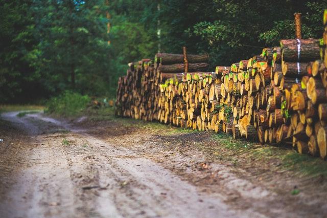 Suomen metsäteollisuus voi olla nollapäästöinen vuonna 2035