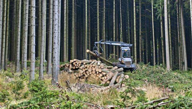 Samiedun uusi metsäkone vahvistaa kestävämpää metsätaloutta