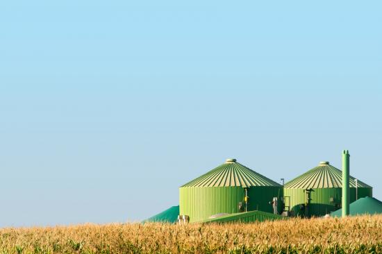 bioenergy.jpg