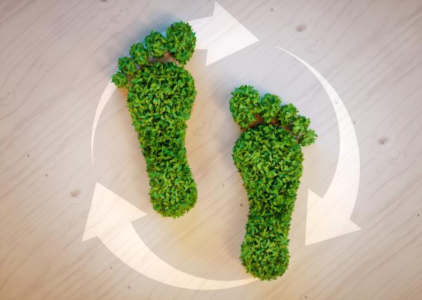 green-footprint-concept