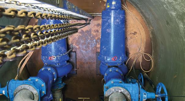 Sulzer003