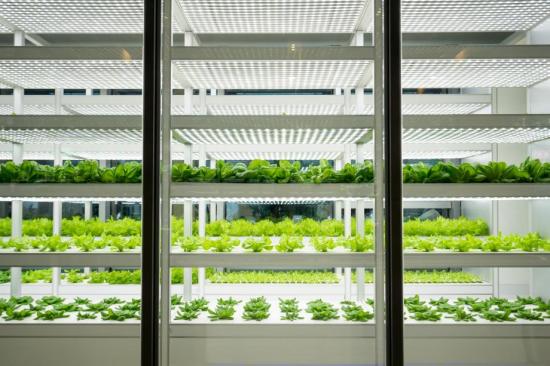 vtt-futuristic-green-house-plants